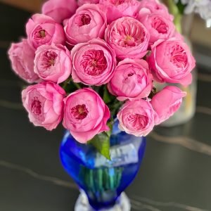 Carey Rose丨Your roses