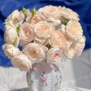 Desdemona Rose your-roses