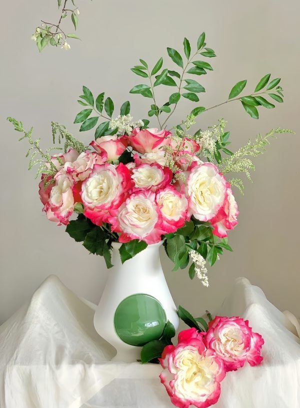 Double Delight Rose-Your Roses