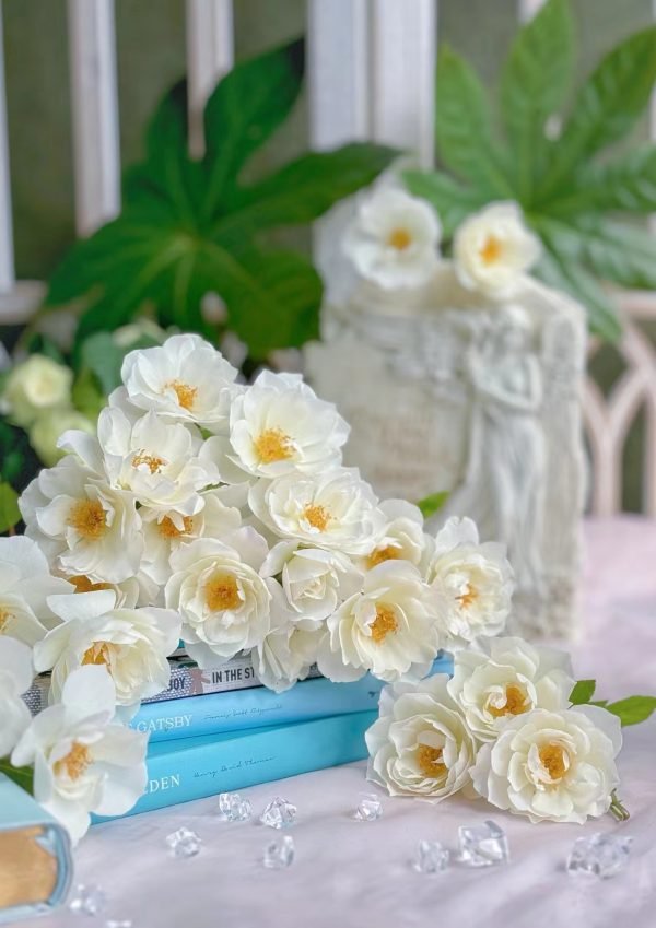 Iceberg Climbing Rose - Image 2