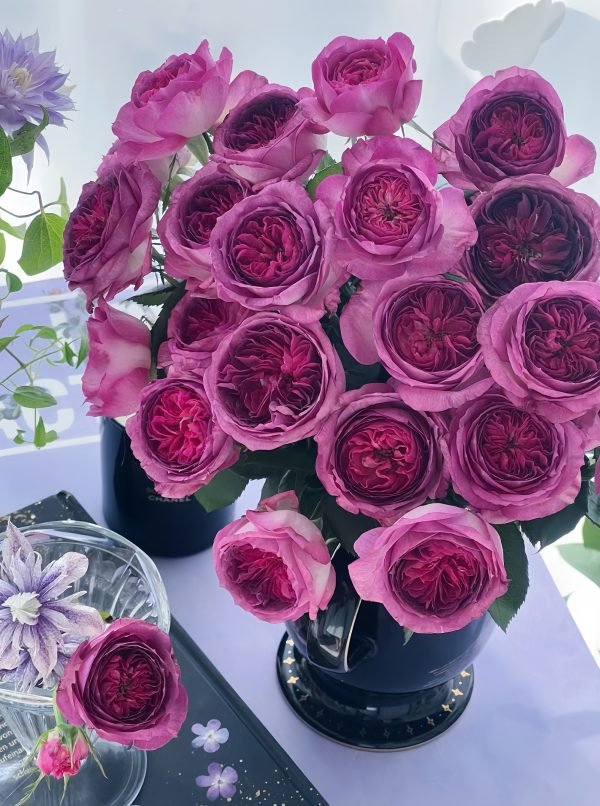 thierry marx rose delbard丨Your roses