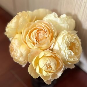 goldie rose