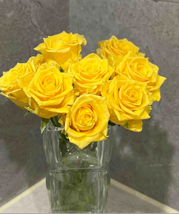 Gold Strike Roses丨Your roses