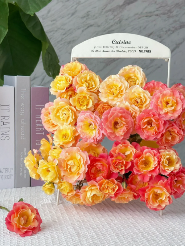 landlust rose丨Your roses