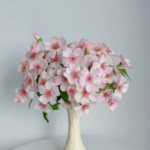 Astronomia Rose丨Your roses