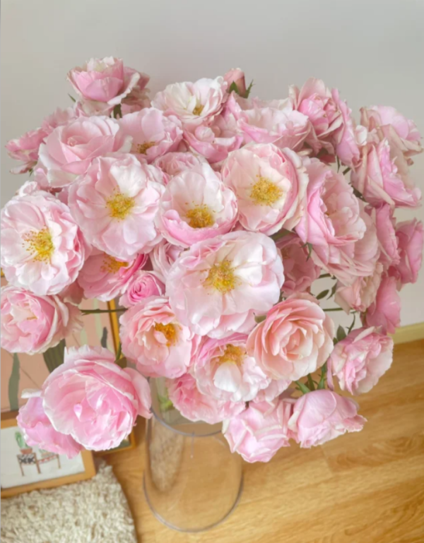 billet doux rose delbard丨Your roses