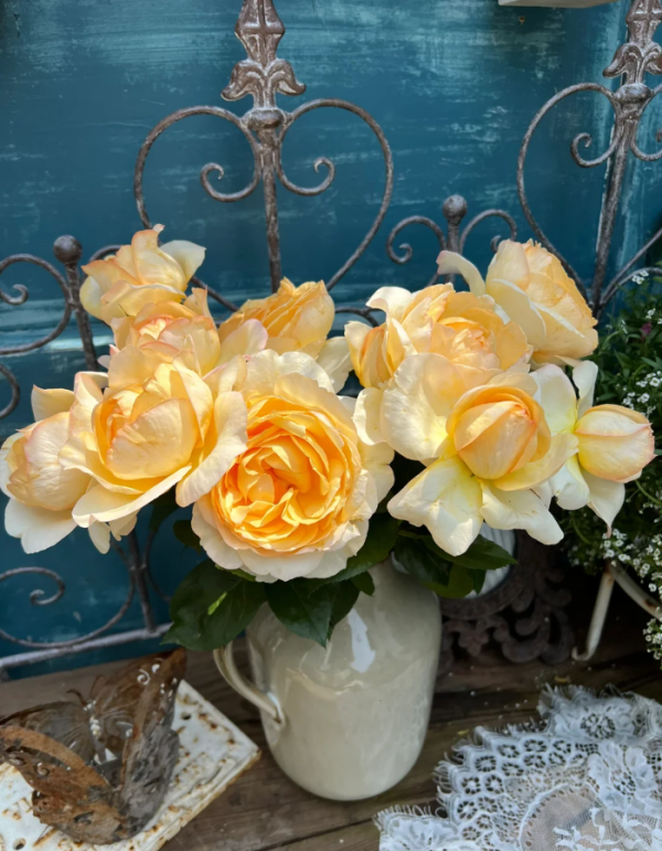 Golden Yves Piaget Roses丨Your roses