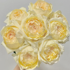 Golden Yves Piaget Rose丨Your roses