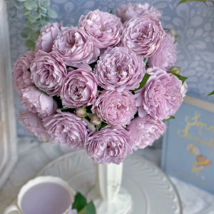 Kong Meng Rose丨Your roses