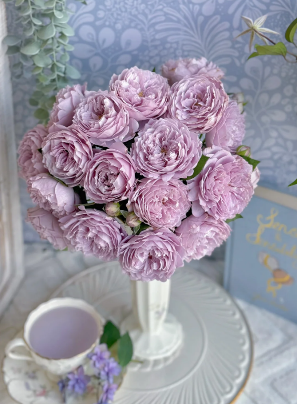 Kong Meng Rose丨Your roses