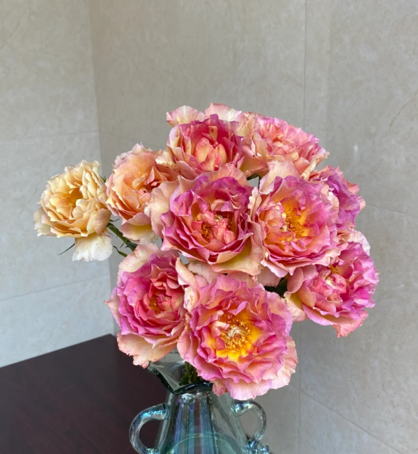 La Parisienne Roses丨Your roses
