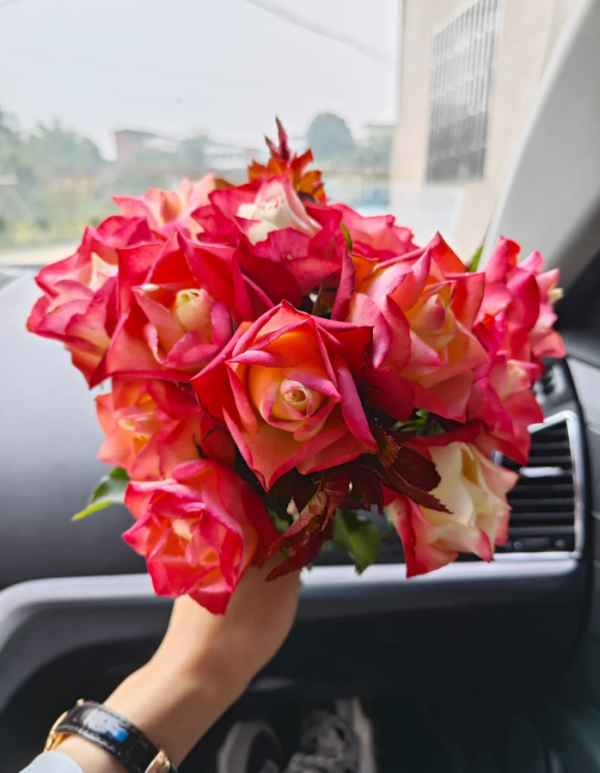 Origami Rose for sale丨Your roses