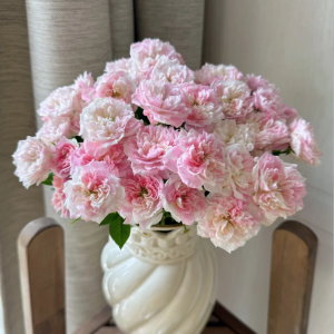 Porte Bonheur Rose for sale丨Your roses