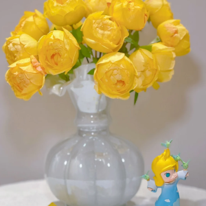 Admiration Rose丨Your roses
