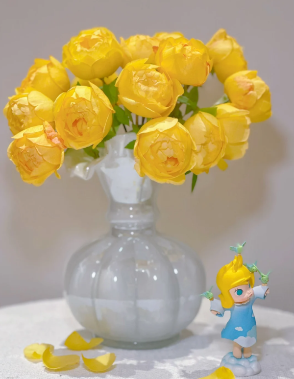 Admiration Rose丨Your roses