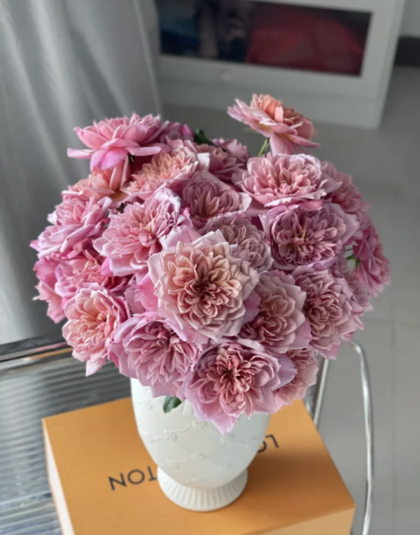 Brodley Rose for sale丨Your roses