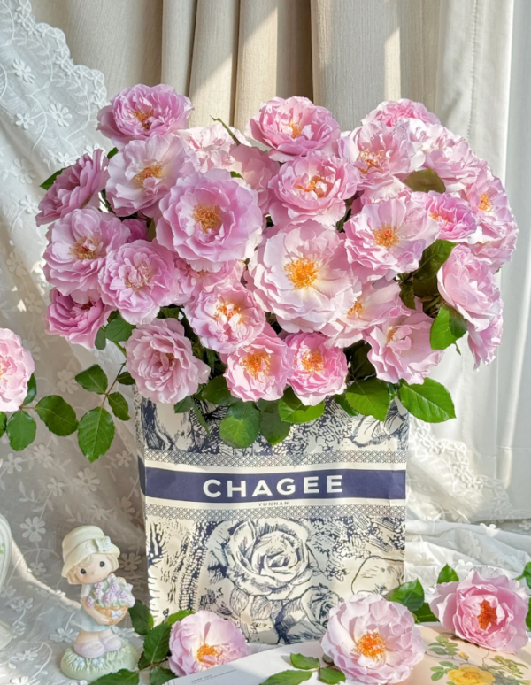 Camille Rose Plant丨Your roses