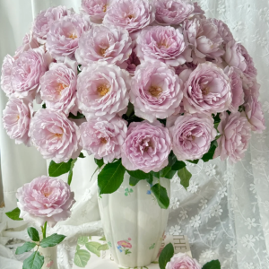 Camille Rose丨Your roses