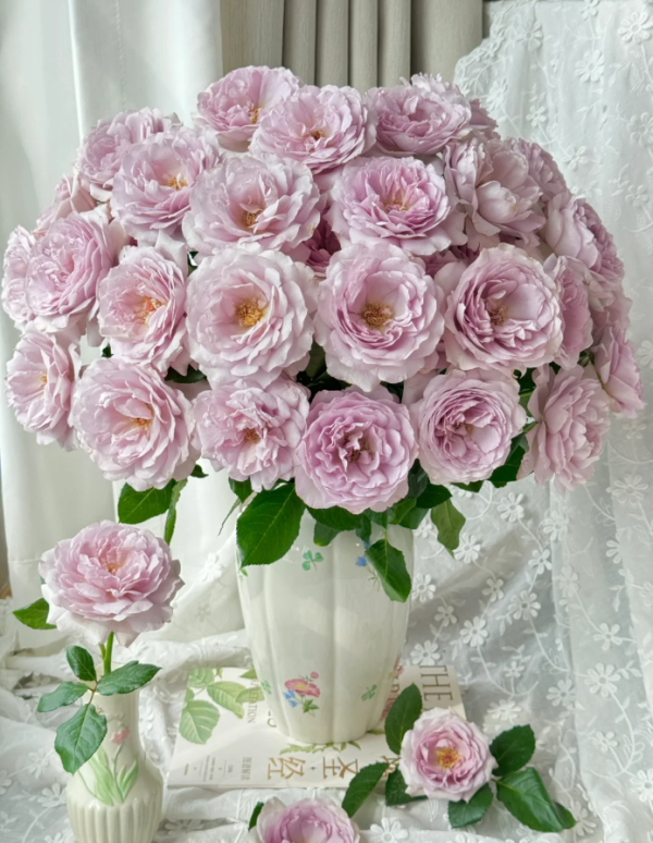 Camille Rose丨Your roses