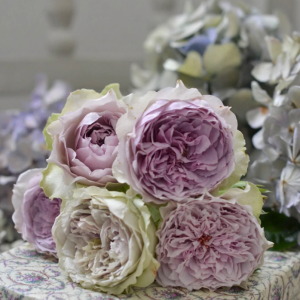 Coffret Rose丨Your roses