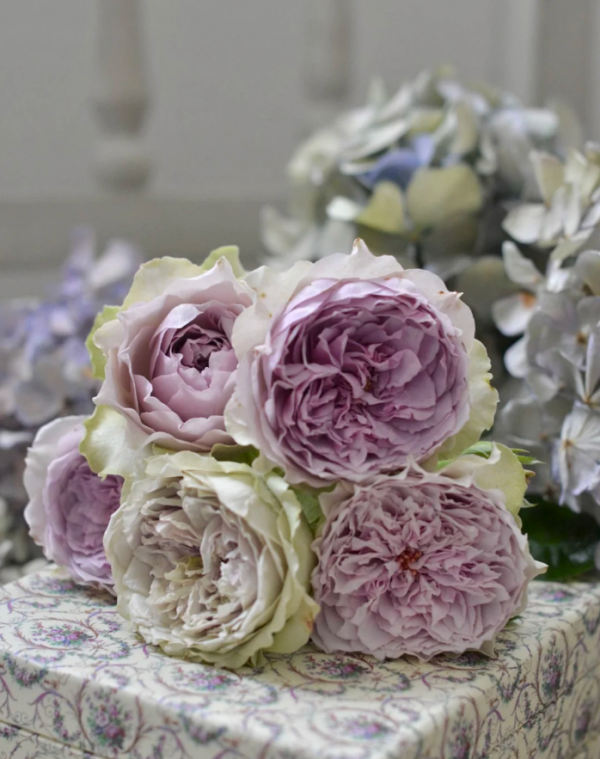 Coffret Rose丨Your roses