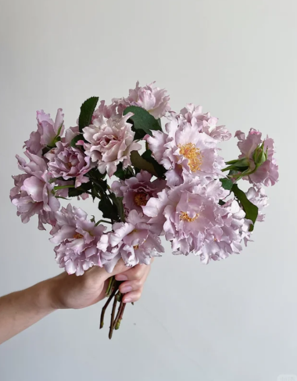 Couture Rose Tilia丨Your roses