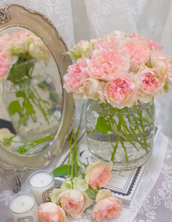 Crochet Rose Plant丨Your roses