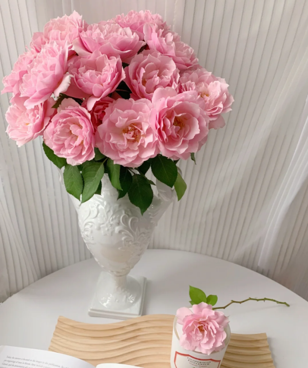Porcelaine d'Orient Rose丨Your roses