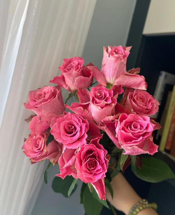 Nirpjata Rose bush丨Your roses