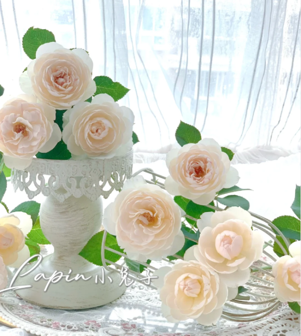 Lapin Roses丨Your roses