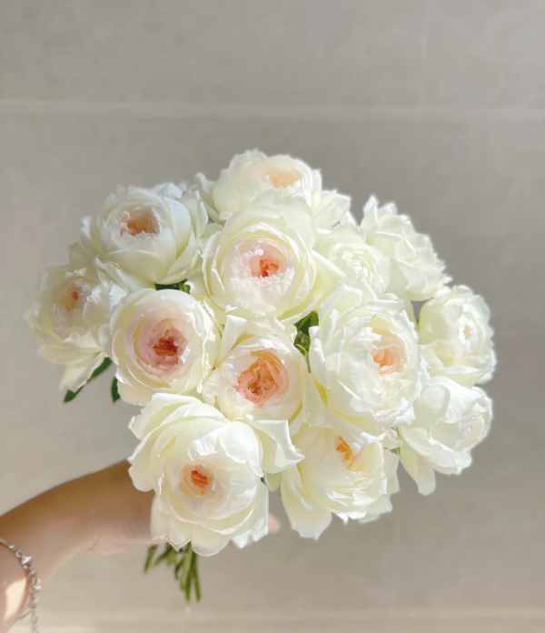Lapin Rose丨Your roses