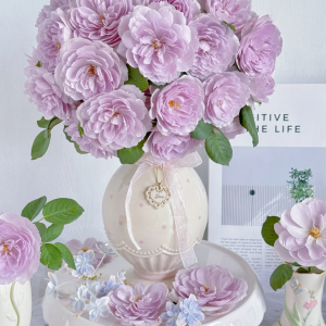 Lapis Lazuli Rose Plant for sale丨Your roses