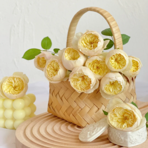 Rose Que Jiu丨Your roses