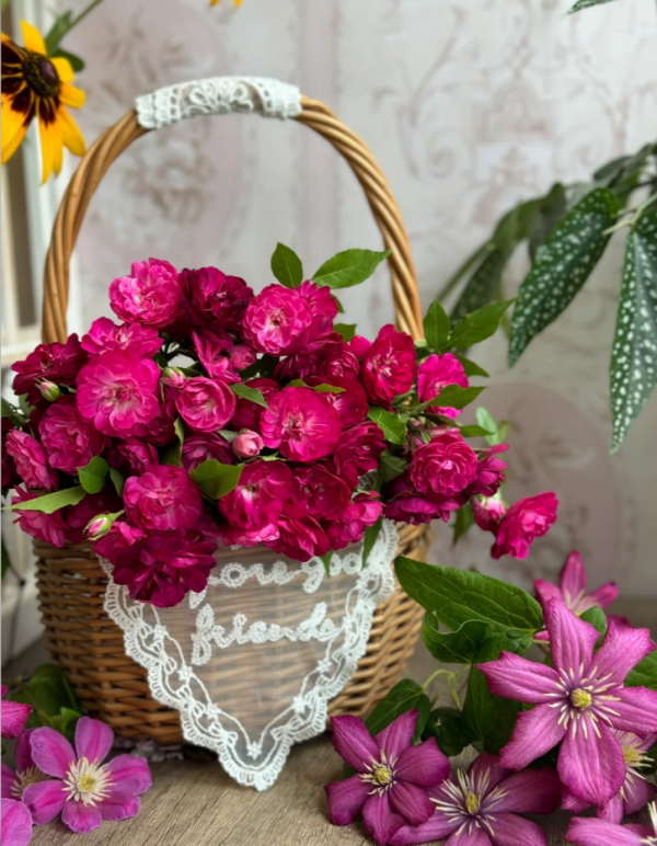 Que Zhi Wu Rose for sale丨Your roses