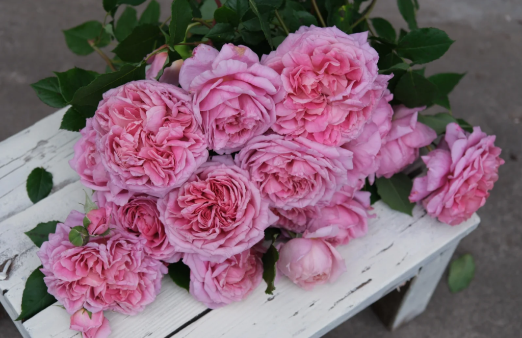 Luxurious Hooded Robe | la Vie en Rose