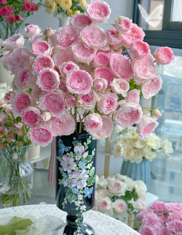 Rong Rong Yue Rose Plant丨Your roses