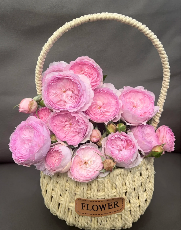 Rong Rong Yue Rose for sale丨Your roses