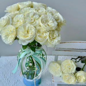 Trinity Rose for sale丨Your roses