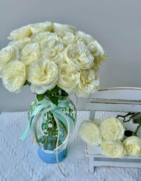 Trinity Rose for sale丨Your roses