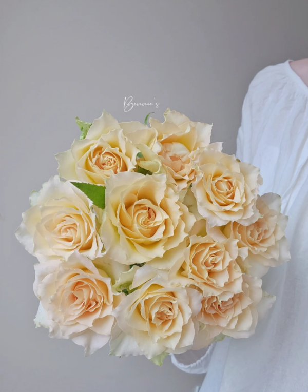 Uriel Rose Plant丨Your roses