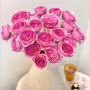 Wan Shan Rose丨Your roses