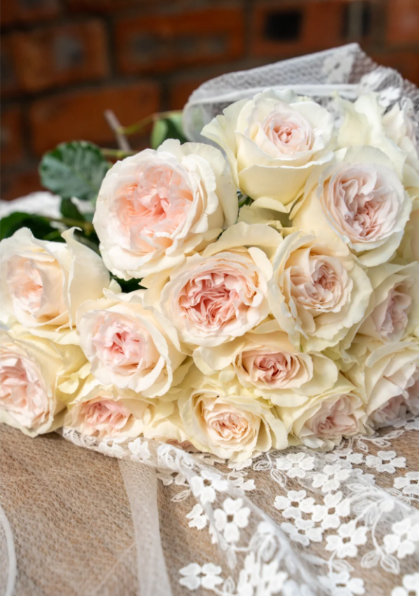 Rose Xiangsaixue for sale丨Your roses