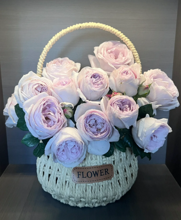 Ye Guang Bei Roses丨Your roses