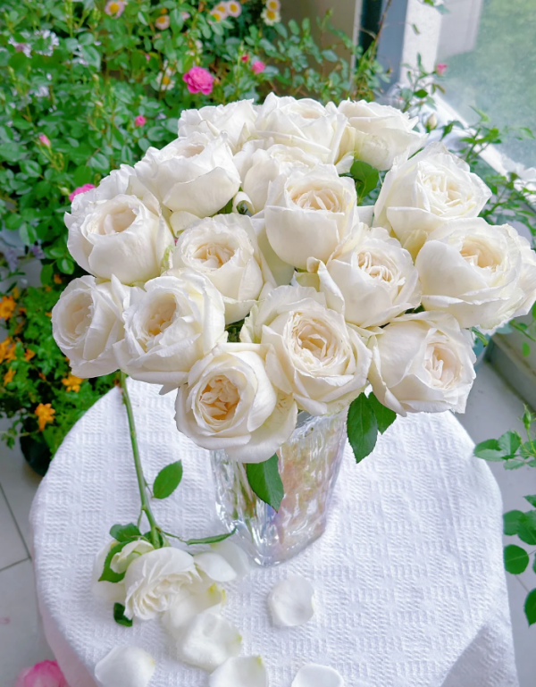 Yves Wedding Road Roses丨Your roses
