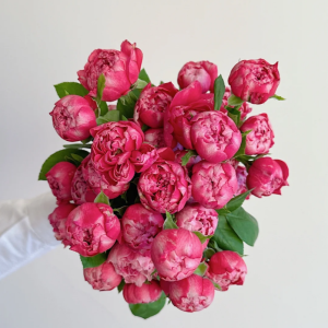 Zi Wu Ning Shuang Rose丨Your roses