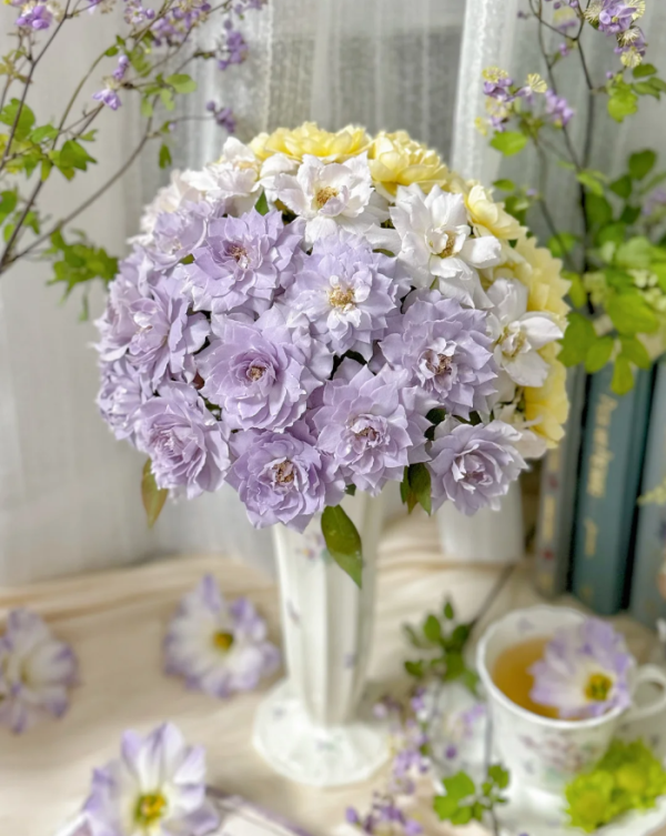 Ziyueguang Roses丨Your roses