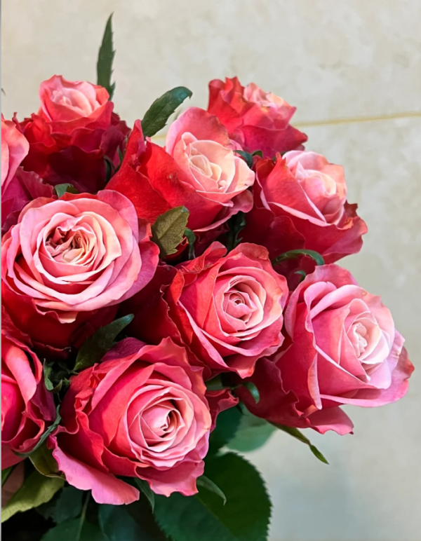 Manchandy Rose丨Your roses