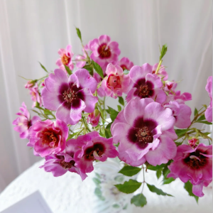 Amethy Babylon Rose丨Your roses