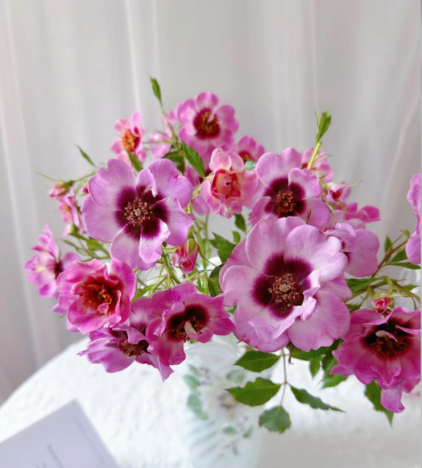 Amethy Babylon Rose丨Your roses