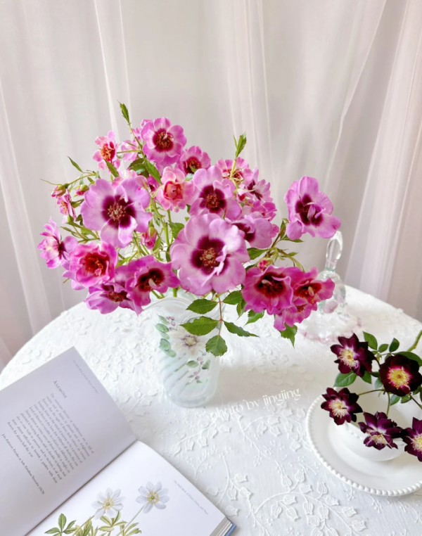 Amethy Babylon Rose Plant丨Your roses